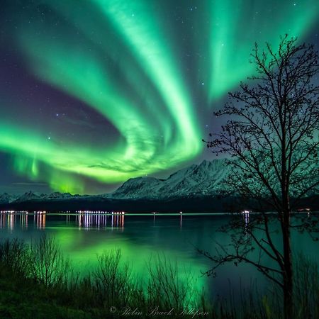 Lena Apartment Tromso Kvaloya Exteriér fotografie