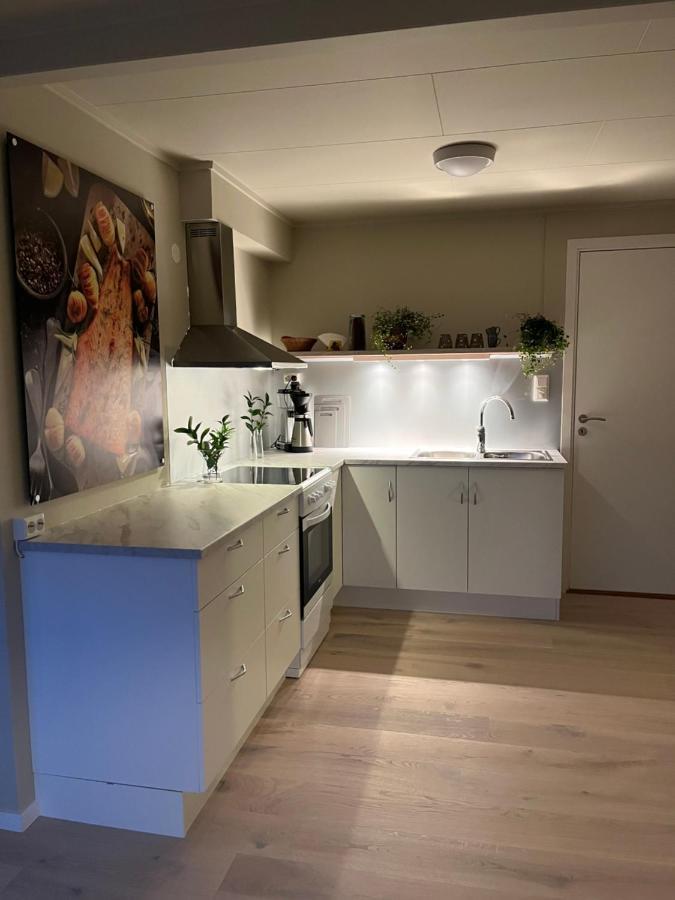 Lena Apartment Tromso Kvaloya Exteriér fotografie